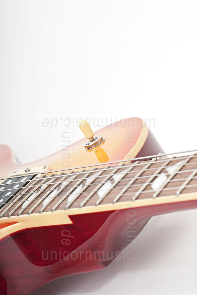 zur Artikelbeschreibung / Preis E-Gitarre FERNANDES RAVELLE ELITE - Honeyburst - Sustainer + Koffer