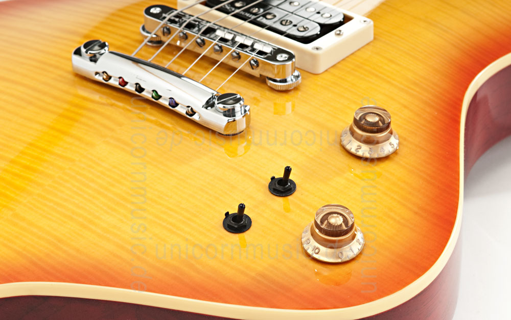 zur Artikelbeschreibung / Preis E-Gitarre FERNANDES RAVELLE ELITE - Honeyburst - Sustainer + Koffer