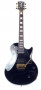 det-burny-les-paul-rlc85s-bk-vorderansicht.jpg
