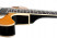 duesenberg-49er-honey-burst-cutaway.jpg