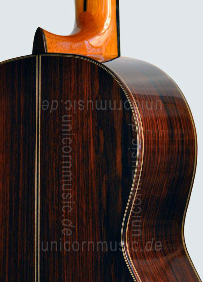 zur Artikelbeschreibung / Preis Spanische Flamencogitarre CAMPS CONCIERTO AMAZONAS - vollmassiv - Fichten Decke + Koffer