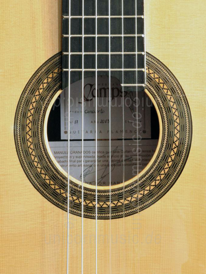 zur Artikelbeschreibung / Preis Spanische Flamencogitarre CAMPS CONCIERTO AMAZONAS - vollmassiv - Fichten Decke + Koffer