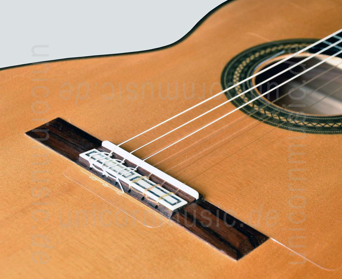 zur Artikelbeschreibung / Preis Spanische Flamencogitarre CAMPS CONCIERTO AMAZONAS - vollmassiv - Fichten Decke + Koffer