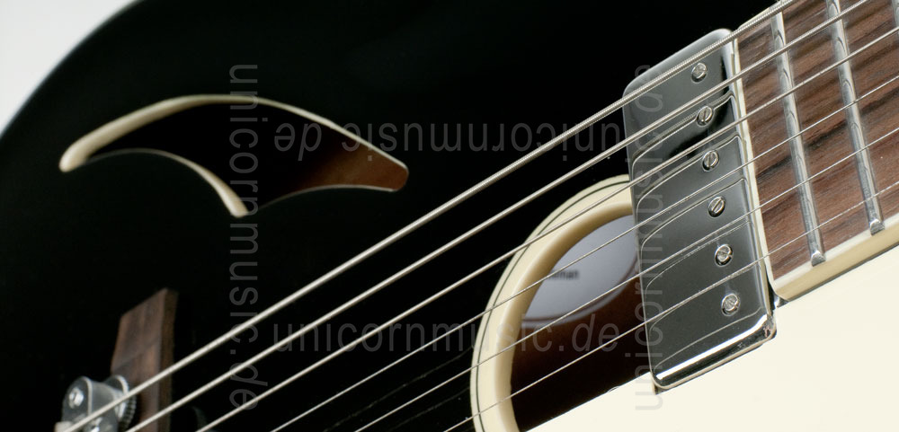 zur Artikelbeschreibung / Preis Vollresonanz Jazz-Gitarre HOYER - DRESSED GENTLEMAN