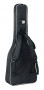 gitarrentasche-gewa-economy12-1_2-hinten.jpg