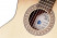 proarte-gc-100-2-rosette.jpg