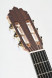 cashimira-130-cutaway-thinline-fichte-kopf.jpg