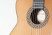 cashimira-130-cutaway-zeder-rosette.jpg
