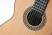 cashimira-130-zeder-rosette.jpg