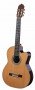 det-cashimira-130-cutaway-zeder-set.jpg