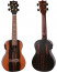 det-flight-dsc460ceq-concert.jpg