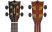 flight-dsc460-concert-headstock.jpg