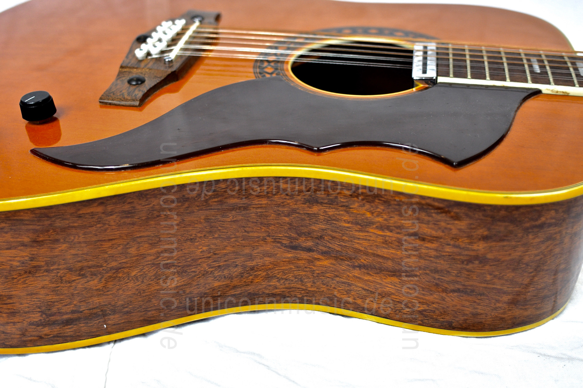 zur Artikelbeschreibung / Preis EKO Ranger - 12 String