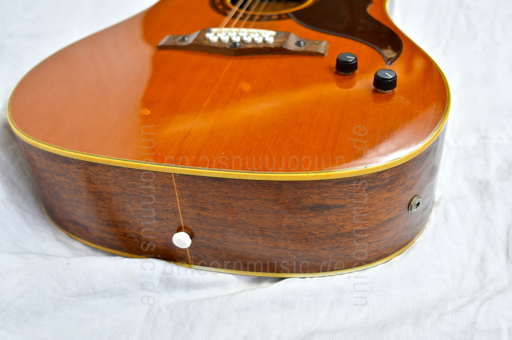 zur Artikelbeschreibung / Preis EKO Ranger - 12 String