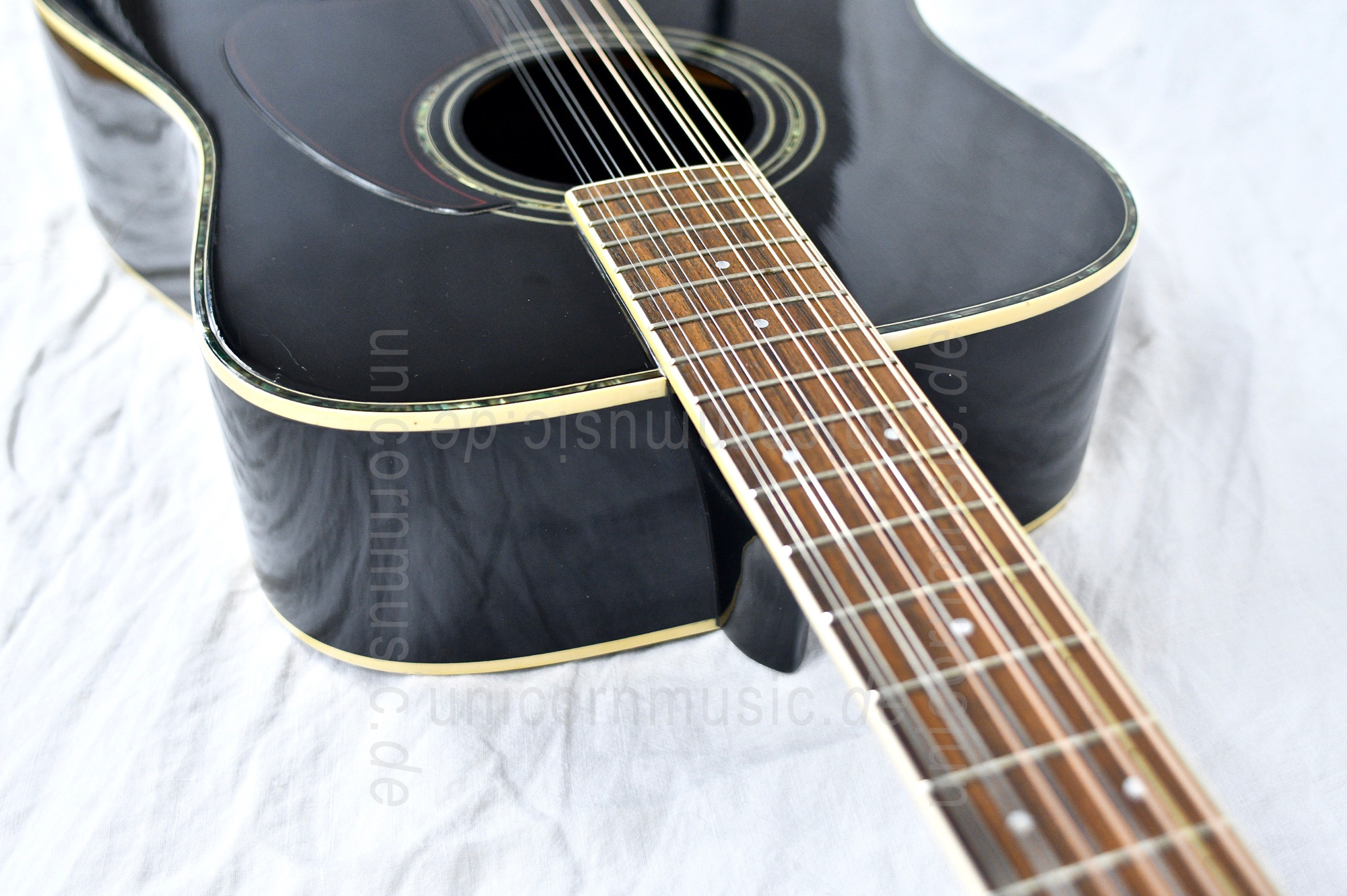 zur Artikelbeschreibung / Preis Ibanez V312 TV 12 String