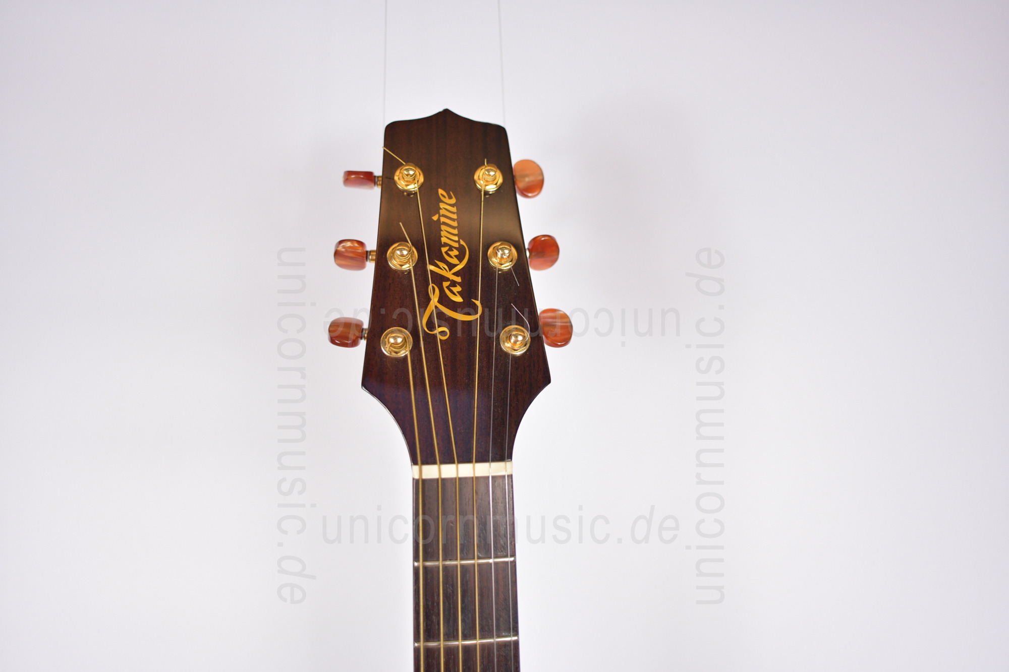 zur Artikelbeschreibung / Preis Takamine Santa Fe SF-40