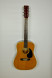 det-234-Luxor-12String-front.jpg