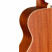 JamesNeligan-EZR-OM-back.jpg