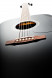 cort-earth-100-black-steg.jpg