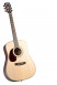 det-cort-earth-100-ns-linkshaender-set.jpg