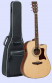 det-tanglewood-tw115-ce-set.jpg