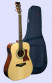 det-tanglewood-tw12-fltd-set.jpg