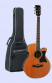 det-tanglewood-tw145-sc-set.jpg