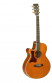 det-tanglewood-tw45-ns-e-linkshaender-set.jpg