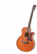 det-tanglewood-tw45-ns-e-set.jpg