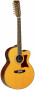 det-tanglewood-tw55-12-ns-e-set.jpg