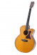 det-tanglewood-tw55-h-e-set.jpg