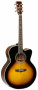 det-tanglewood-tw55-vs-e-set.jpg