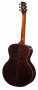 tanglewood-tsr2-hinten.jpg