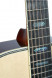 tanglewood-tw1000-griffbrett.jpg