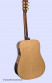 tanglewood-tw12-ds-hinten.jpg