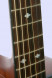 tanglewood-tw12-neck.jpg