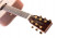 tanglewood-tw15h-hals.jpg