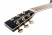 tanglewood-tw49-bk-dlx-e-kopfplatte.jpg