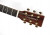 tanglewood-tw55-h-e-kopfplatte.jpg