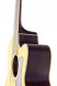 tanglewood-tw55-ns-e-cutaway.jpg