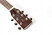 tanglewood-tw55-ns-e-kopfplatte.jpg