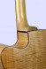 tanglewood-tw66-fmp-b-hinten.jpg