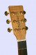 tanglewood-tw66-fmp-b-kopf.jpg