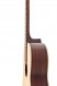 tanglewood-tw73-zargen.jpg