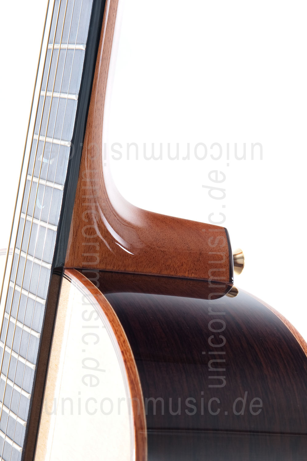 zur Artikelbeschreibung / Preis Western-Gitarre TANGLEWOOD TSR/2 - MASTERDESIGN Serie - Grand Auditorium - B-Band A1.2 - vollmassiv + Koffer