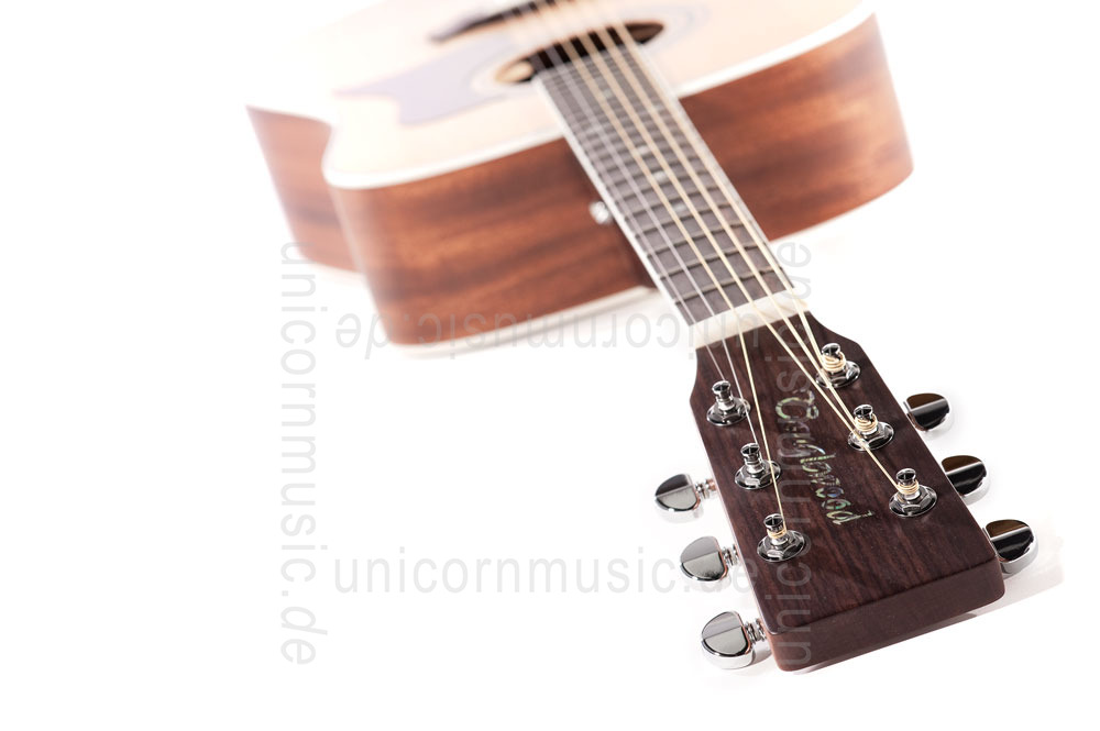 zur Artikelbeschreibung / Preis Western-Gitarre TANGLEWOOD TW15/NS - Sundance Series - Dreadnought - vollmassiv