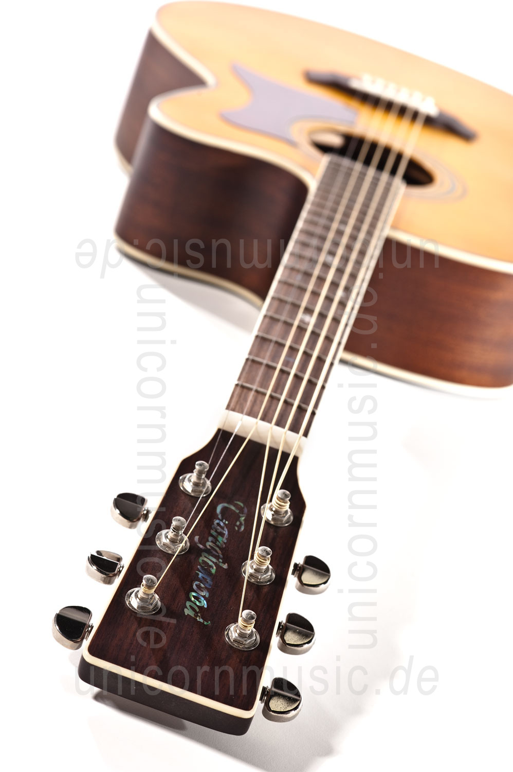 zur Artikelbeschreibung / Preis Western-Gitarre TANGLEWOOD TW55/NS E - Sundance Series - Fishman Presys Plus EQ - Jumbo - Cutaway - massive Decke + Boden