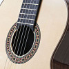 Gitarren
